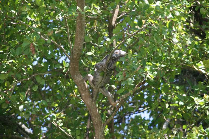 Mexico & Guatemala 2010 - 1182